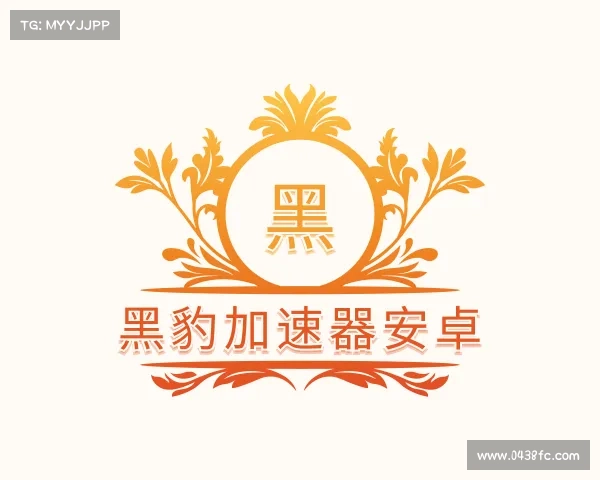 介绍黑豹加速器安卓